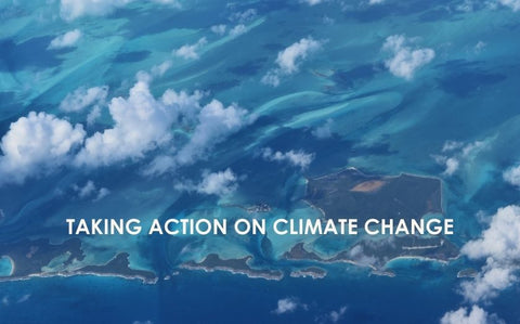 Taking action on climate change