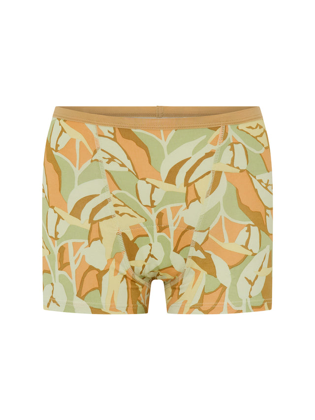 Classic Boyshort Moderate Bellbird