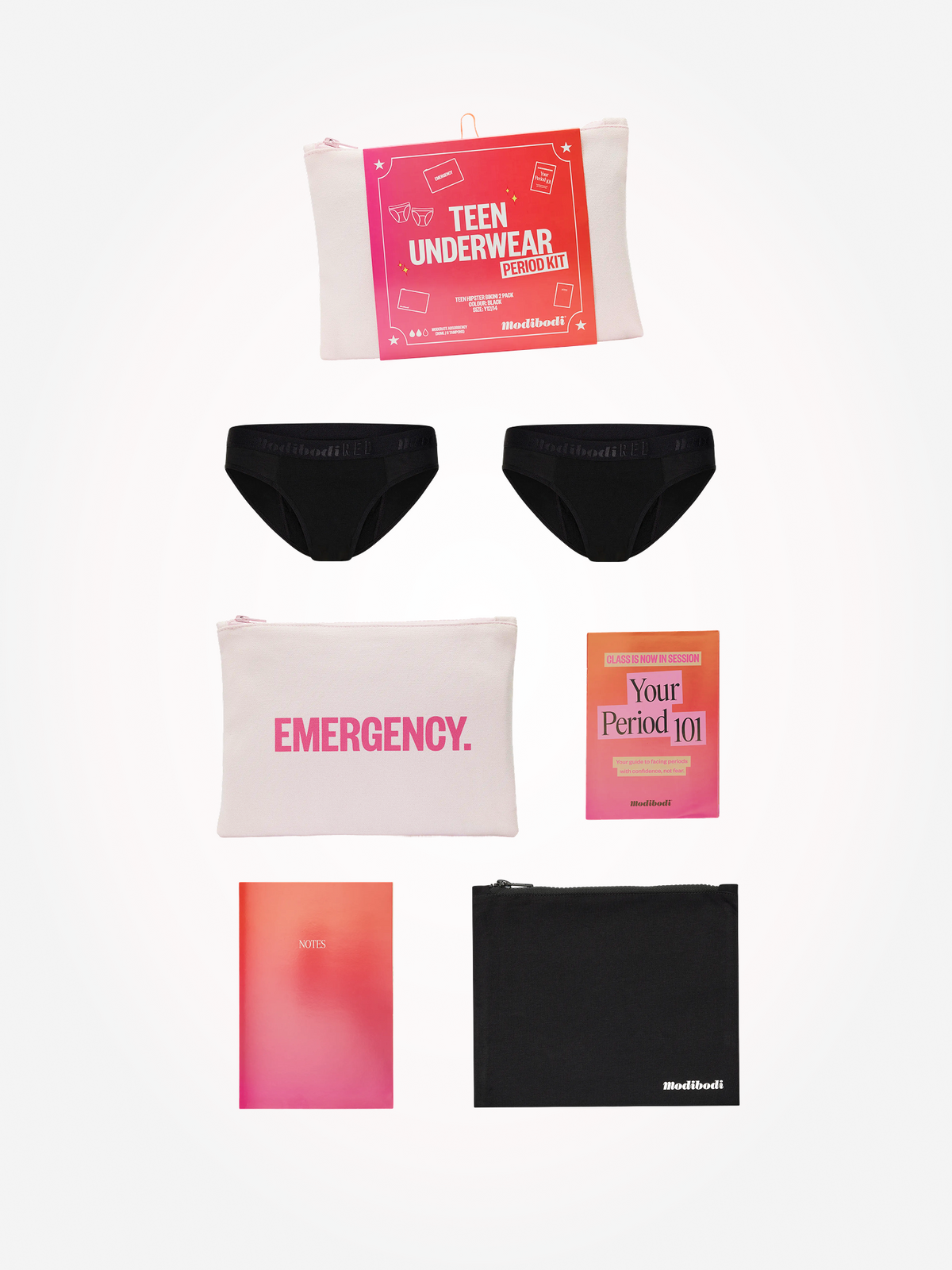 Hipster Bikini Period Kit 2 Pack Moderate