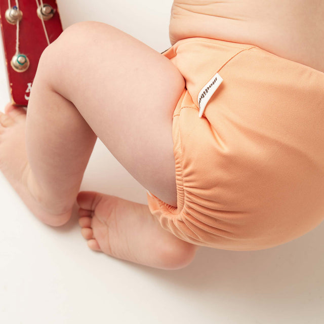 Reusable Nappy 4 Pack Dibs and Dabs